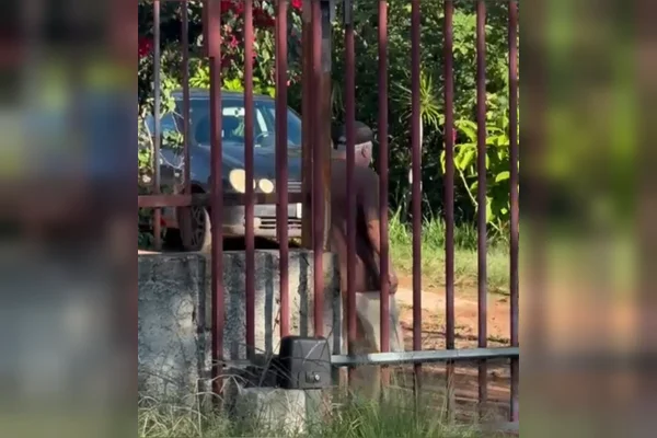 Vizinho ameaçou morador em condomínio do DF: “Vamos ver se tu é homem”