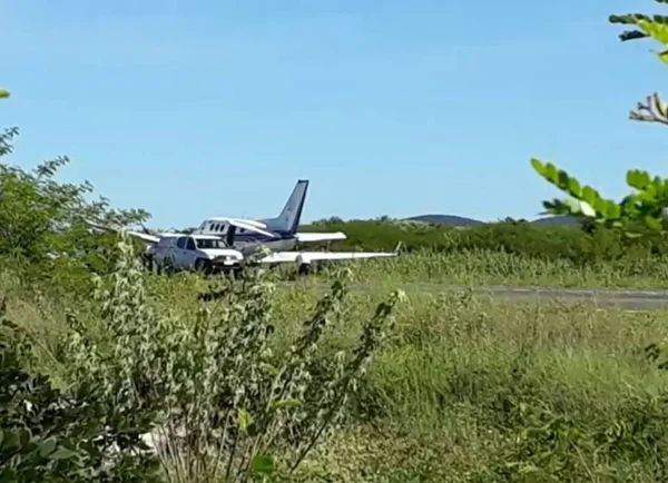 Avião com vacina contra Covid-19 bate em jumento que estava na pista