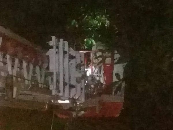 DF: bombeiros retiram abelhas que atacavam moradoras na 408 Norte