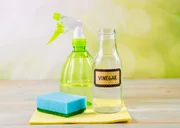 Or even be used in cleaning to remove mold