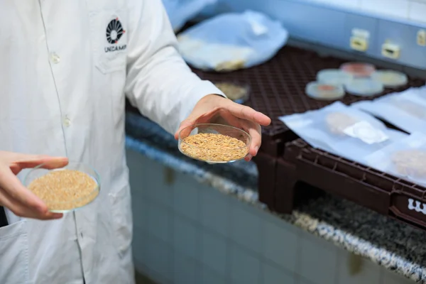 Pesquisador mostra farinha vegetal criada em laboratório. Metrópoles