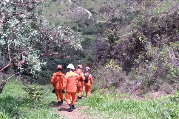 Bombeiros no mato