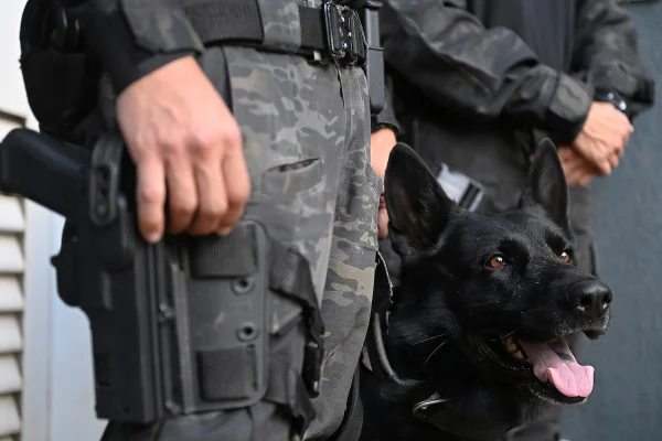 Training using 121125-KN-DOE-Ca