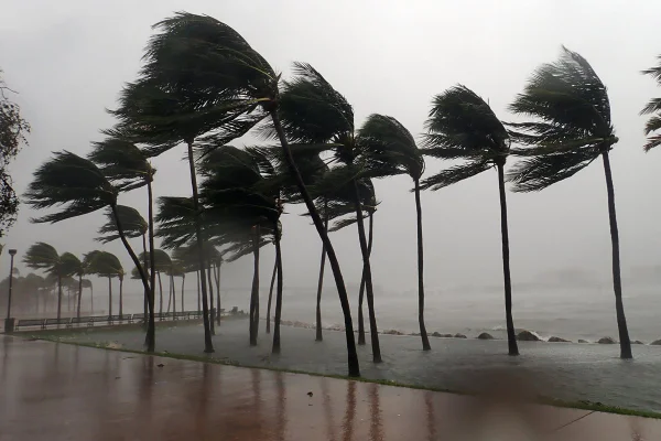 Foto colorida de uma tempestade atingindo área costeira e árvores balançando com o vento - Metrópoles.