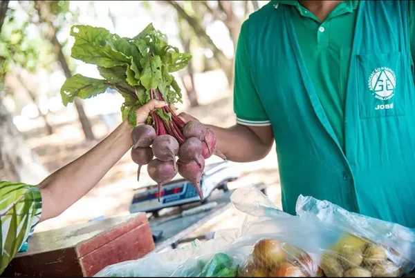 Artigo: precisamos recuperar nossa conexão com os alimentos