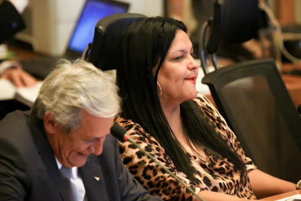 Distritais poderão fazer emendas à Luos até o fim de maio