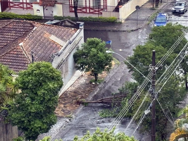 Árvore caída após temporal em BH