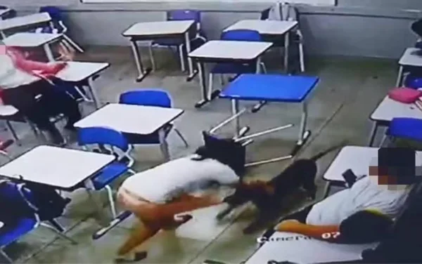 imagem colorida ataque de cachorro a aluna dentro de sala de aula goias