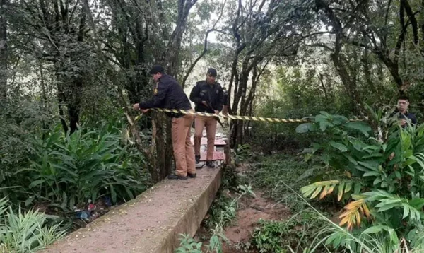 foto colorida de dois homens no meio de uma floresta