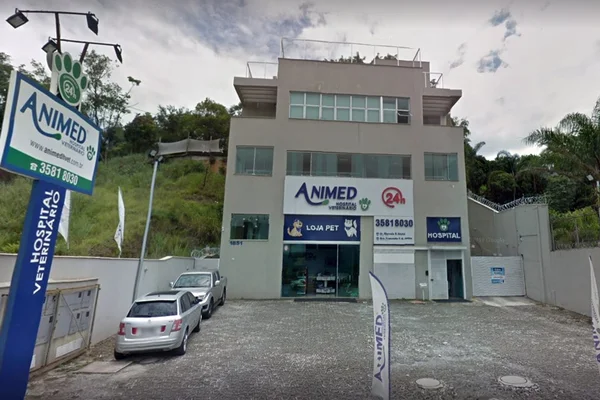 Clínica congelava animais para continuar cobrando por internação