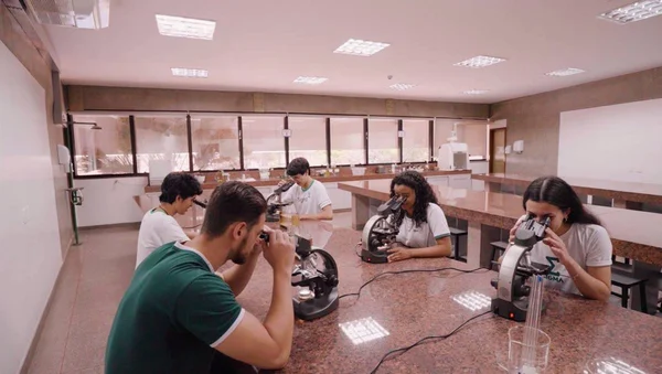 Prestar auxílio numa fase tão crucial aos jovens é o papel da escola