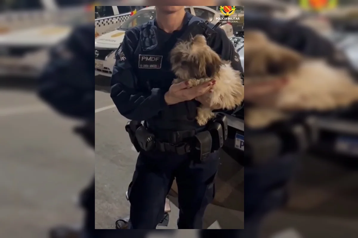 PMDF Salva Cão e Recupera Celulares Furtados em Evento em Brasília