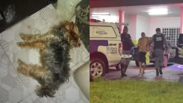 Homem mata cadela e faz ameaças de morte contra ex-cunhada