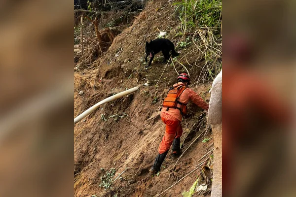 Bombeiro e cão farejador