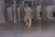 O caso é investigado pela PCDF O caso é investigado pela PCDF