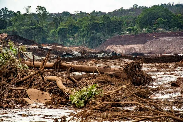 Governo amplia Programa de Aquisição de Alimentos para Brumadinho