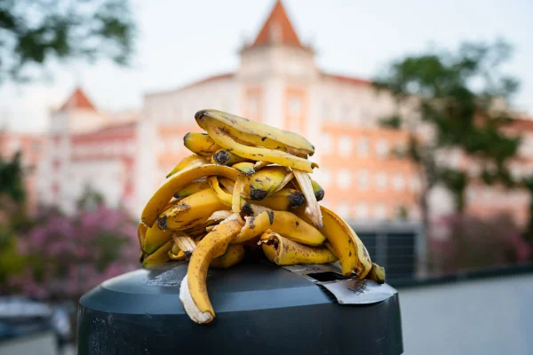 foto colorida de cascas de banana em cima de uma lixeira na rua