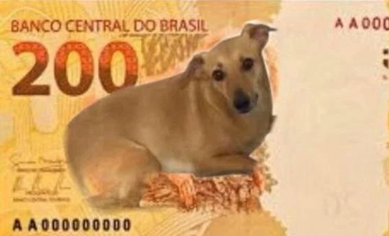 BC estuda ação com vira-lata caramelo