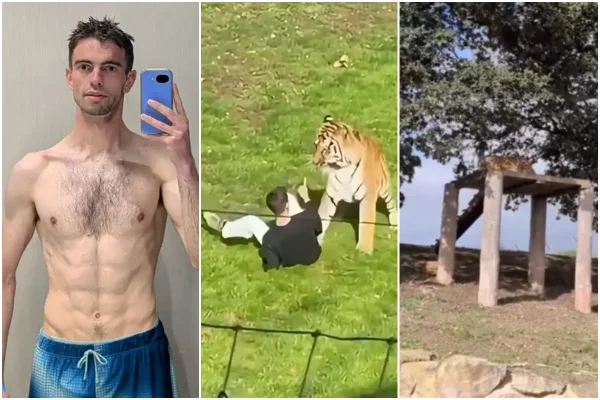 William Chapman e tigre de zoo da Inglaterra - Metrópoles