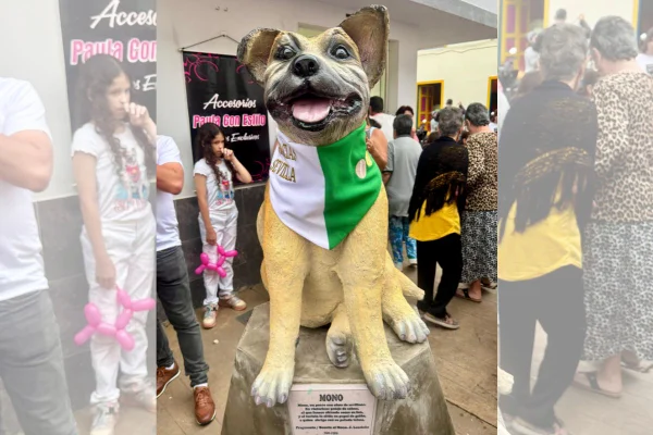 Foto colorida estátua do cachorro Mono