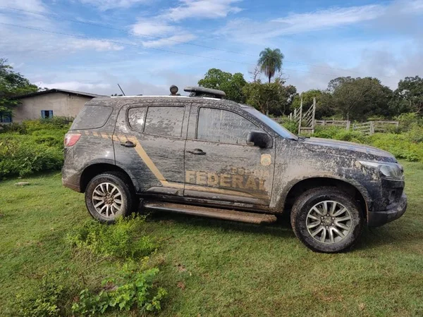 goias operação contra caça ilegal de bufalos