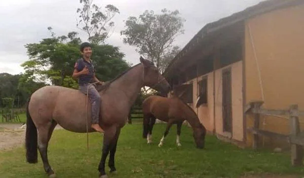 Criança morre após levar coice de cavalo em Joinville