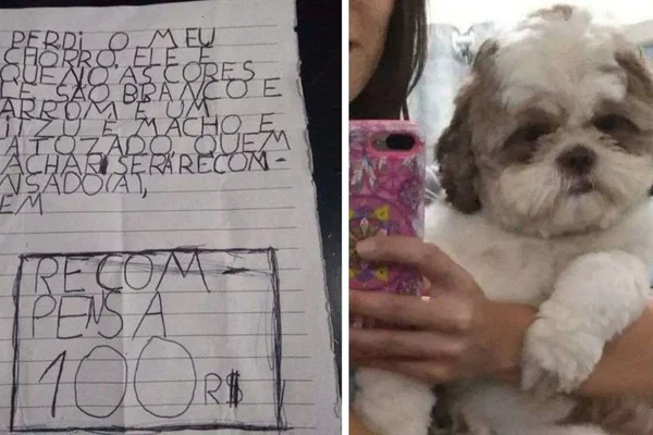 Menina comove a web após fazer orações para encontrar cãozinho