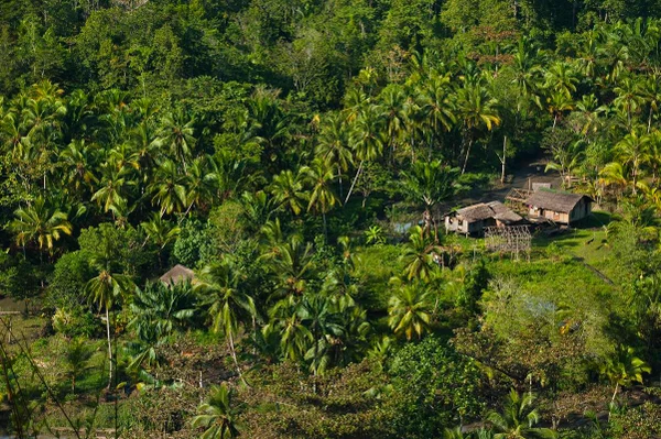Imagem colorida mostra casa em província de Papua Nova Guiné -Metrópoles