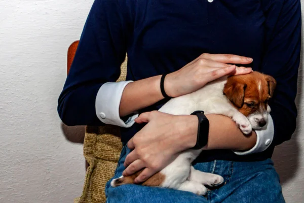Imagem colorida de pessoa sentada com filhote de cachorro no colo