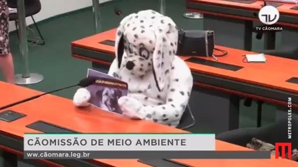 Vídeo: cachorro de pelúcia é convidado para compor mesa da Câmara