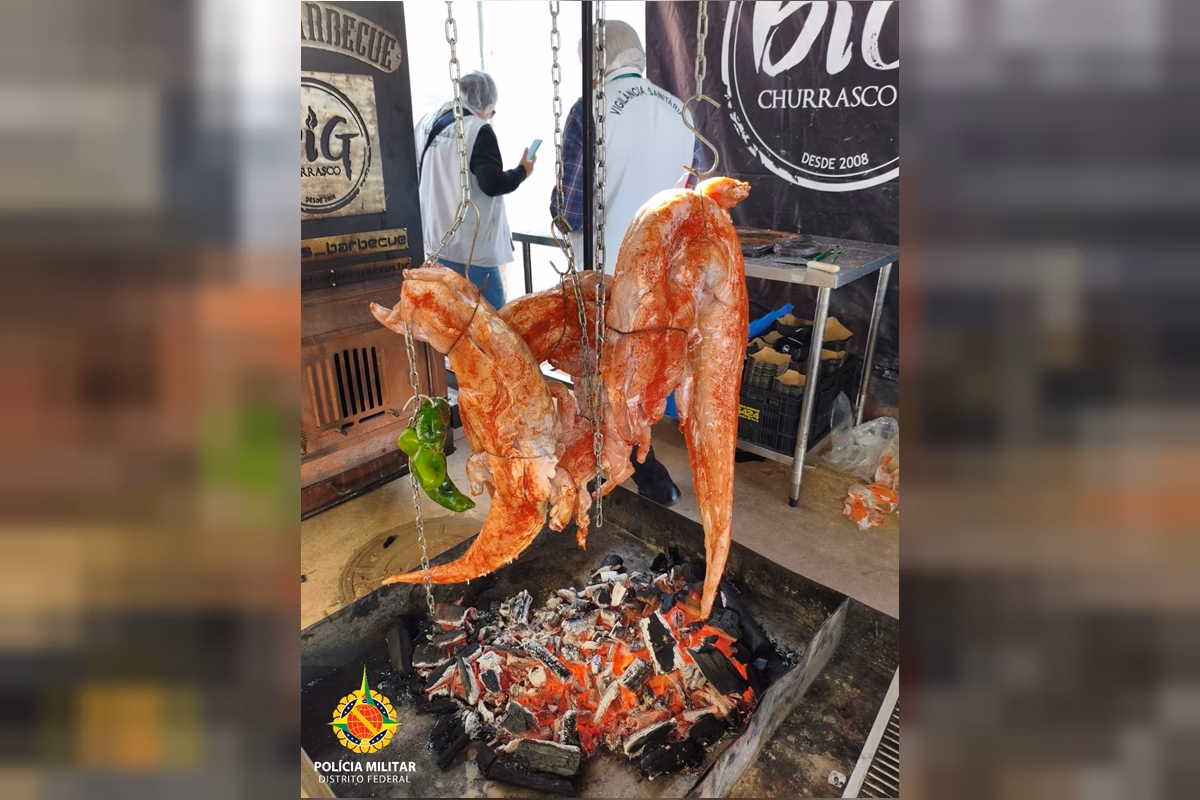 Carnes apreendidas