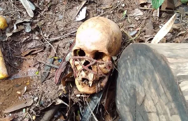 Imagem colorida de crânio encontrado após tempestade - Metrópoles