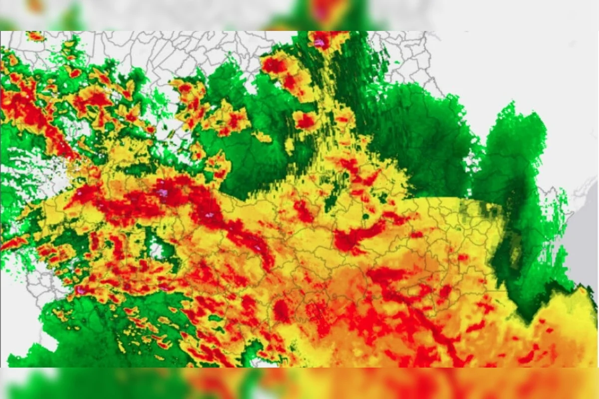 Imagens de satélite mostram destruição no Paraná Imagens de satélite mostram destruição no Paraná