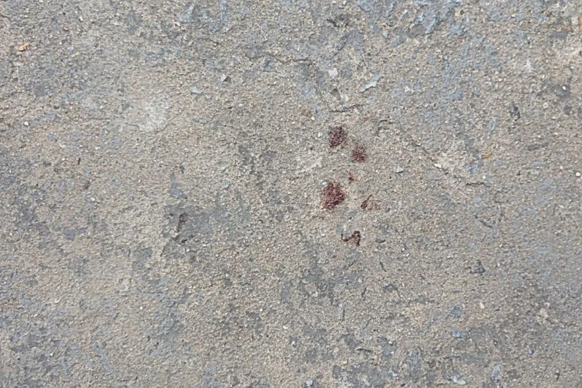 Marcas de sangue no endereço onde Gustavo foi morto Marcas de sangue no endereço onde Gustavo foi morto
