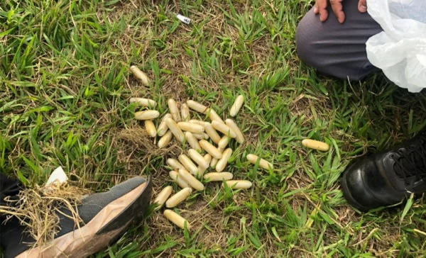 foto colorida de flagrante de "mulas" do tráfico detidas pela PM em ônibus que vinha da Bolívia para SP; abordagem aconteceu na Rodovia Raposo Tavares - Metrópoles