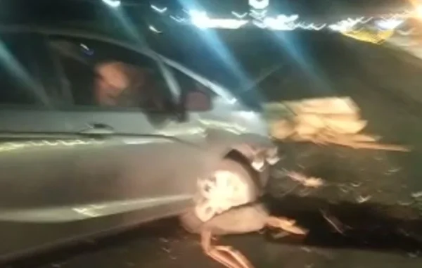 Carro bate em árvore durante bloqueio de rodovias em Santa Catarina