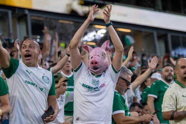 Imagem colorida da torcida do Palmeiras
