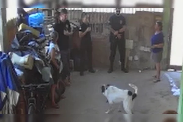 Cachorro que foi torturado com taser é resgatado pela PCDF na Vila Planalto