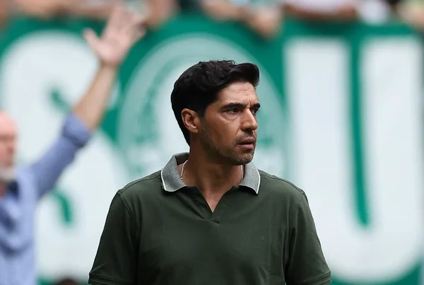 Imagem colorida de Abel Ferreira - Metrópoles