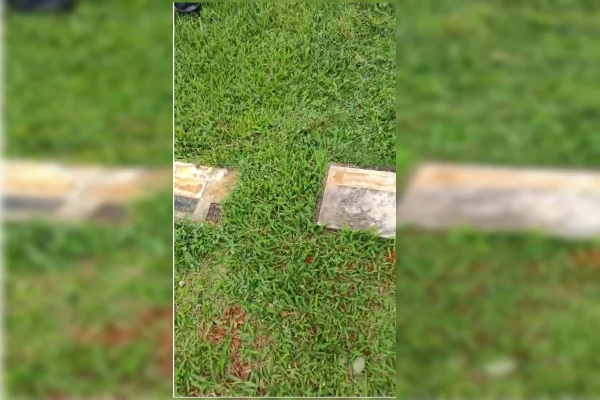 furtos de placas em túmulos no Campo da Esperança