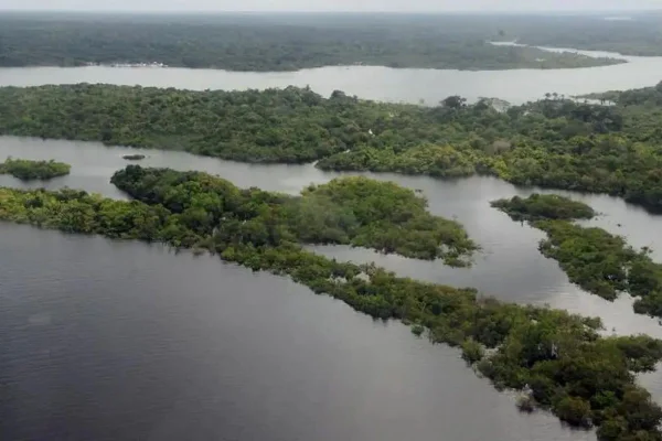 Foto colorida da Amazônia - Metrópoles