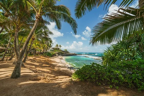 praia no pacífico