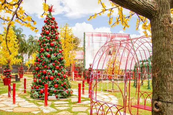 Veja em primeira mão detalhes exclusivos do Natal do Pontão