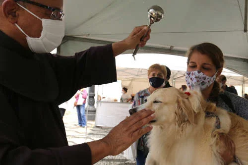 São Francisco de Assis: animais recebem bênção no Rio e em SP