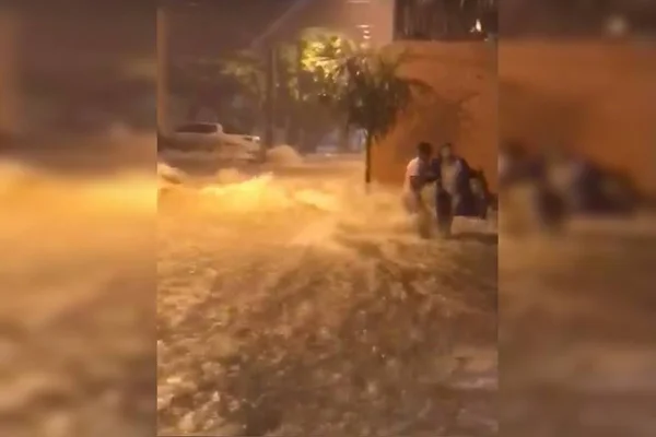 “No desespero”, diz homem que salvou mulher de enxurrada no DF