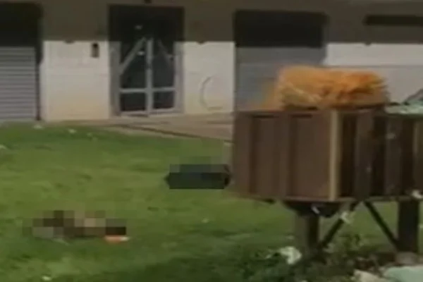 PCDF identifica homem que decapitou animais e localiza cabeças e patas