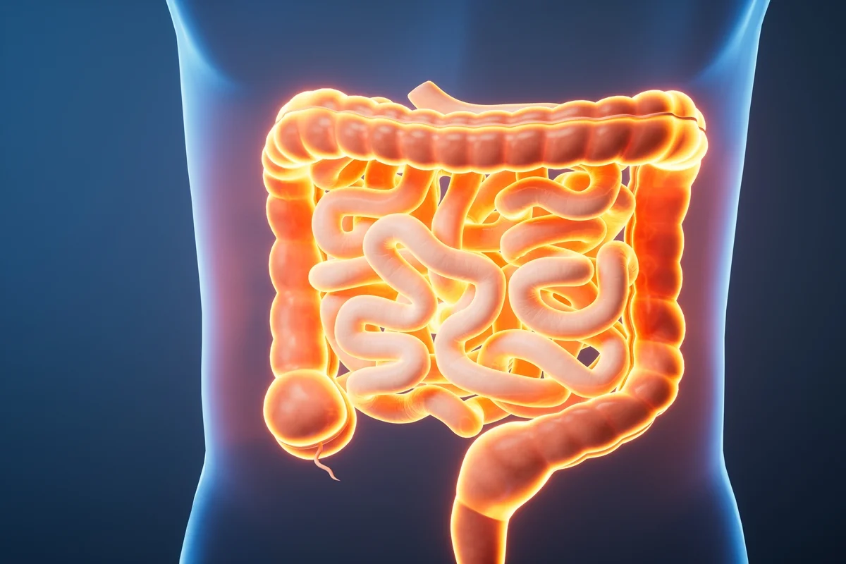 Coloproctologista revela hábito frequente que pode prejudicar o cólon