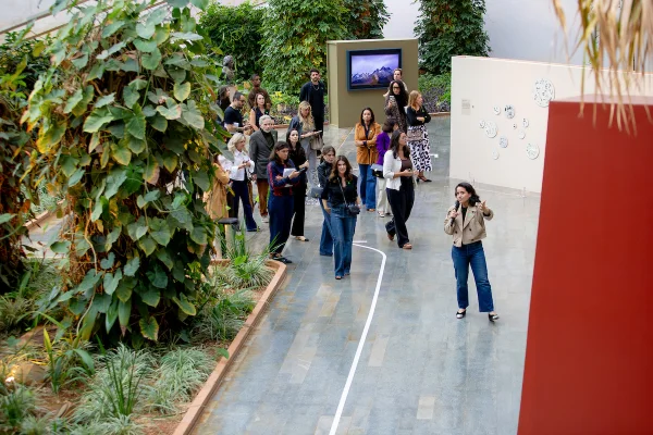 Constelações Contemporâneas ilumina Brasília com arte produzida no DF