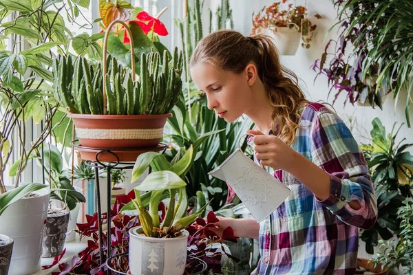 Conheça a nova categoria de influencers, os “plantfluencers”