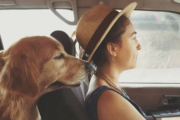 Tatuadora do DF faz campanha para pagar tratamento de pet